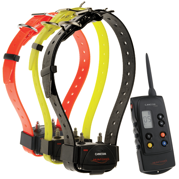 num-axes-pack-canicom-1500-pour-3-chiens-collier-de-dressage image 1