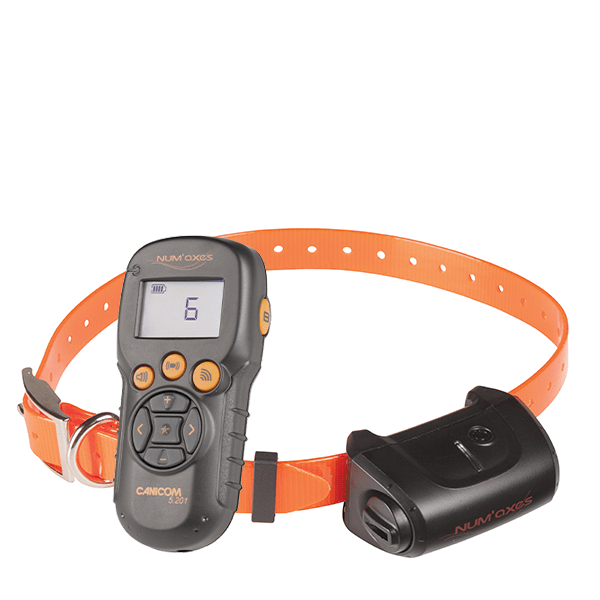 num-axes-canicom-5-201-collier-de-dressage-200-m image 1