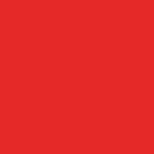 bresser-sbp05-rouleau-fond-papier-rouge-2-72-x-11-m-160-g-m image 5
