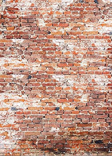 bresser-br-s1040-fond-en-tissu-avec-impression-photo-1-8-x-2-5-m image 1